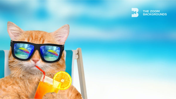 Chillaxing Cat Zoom Backgrounds