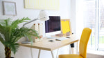 mustard yellow chair zoom backgrounds