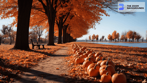 Fall Park with Pumpkins Zoom Background
