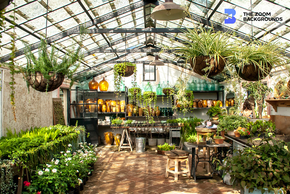 zoom background indoor plants Interior Garden Greenhouse Zoom Background
