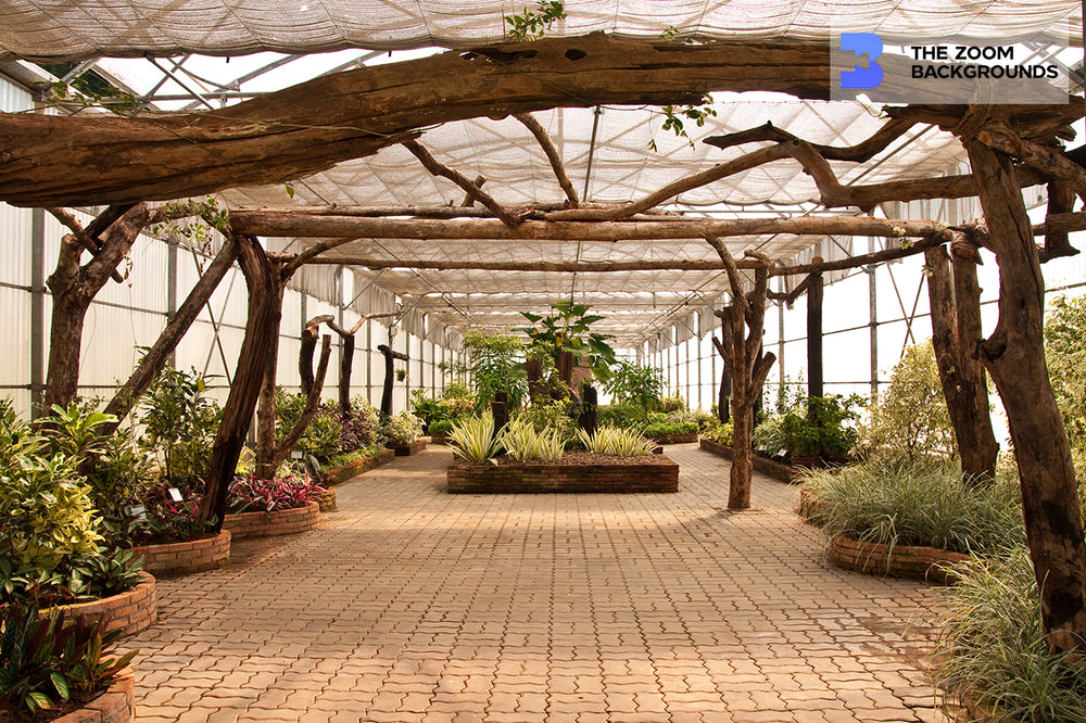 zoom background house plants Glass House Garden Zoom Background