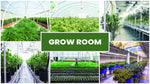 grow house weed zoom backgrounds bundle  images  