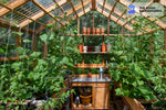 wooden vegetable greenhouse interior zoom background