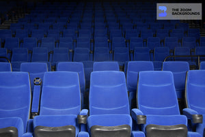 
            
                Load image into Gallery viewer, theater seats zoom background
            
        