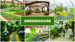 greenhouse zoom backgrounds bundle  images  