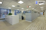 highrise office cubicle jungle  initech series zoom background
