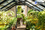 interior greenhouse garden zoom background