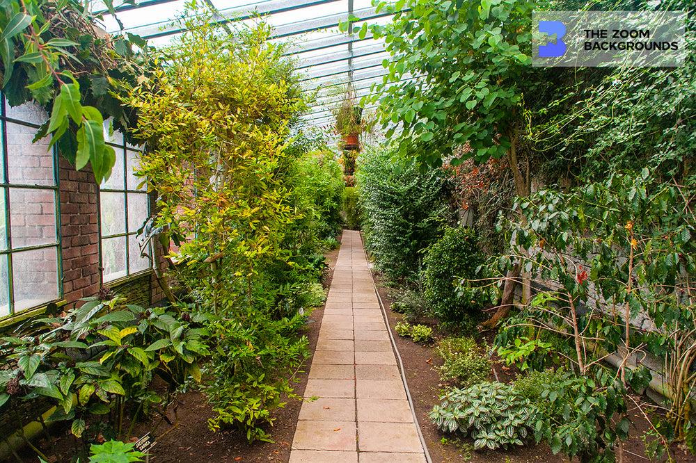 
            
                Load image into Gallery viewer, villa tarantos greenhouse zoom background
            
        