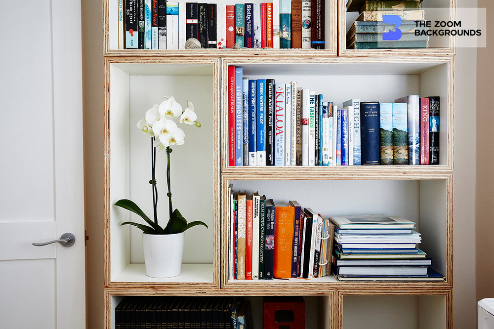 interior photgraph in a home with books and a potted orchid zoom backg