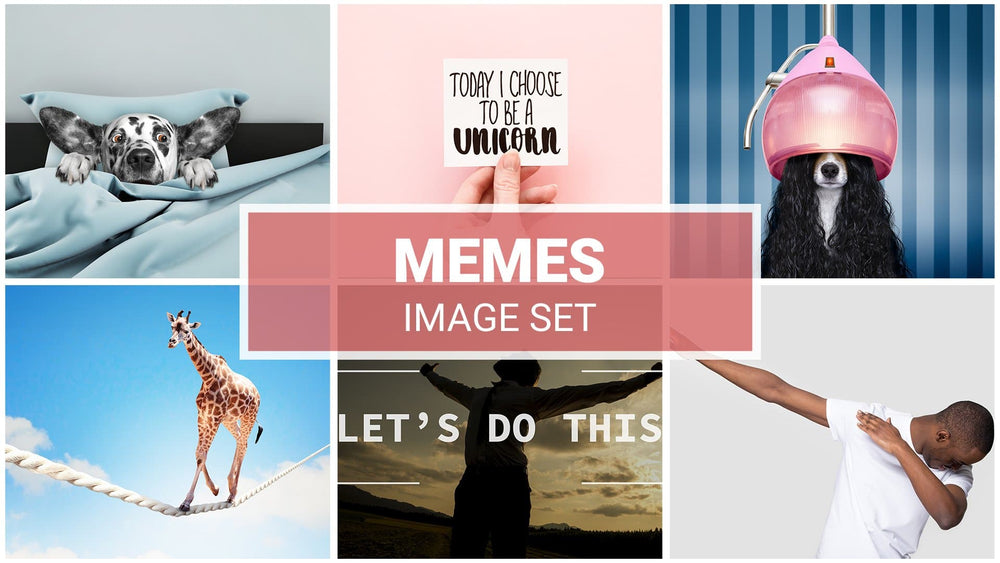 
            
                Load image into Gallery viewer, memes zoom backgrounds set  images  
            
        