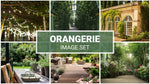 orangerie zoom backgrounds set  images  