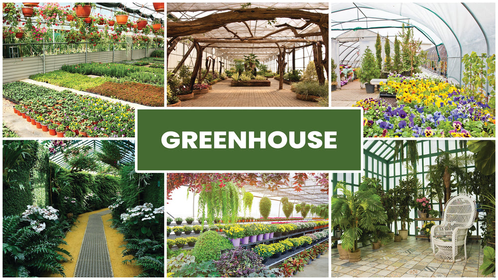 greenhouse  garden zoom backgrounds set  images