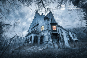 
            
                Load image into Gallery viewer, haunted house zoom background
            
        
