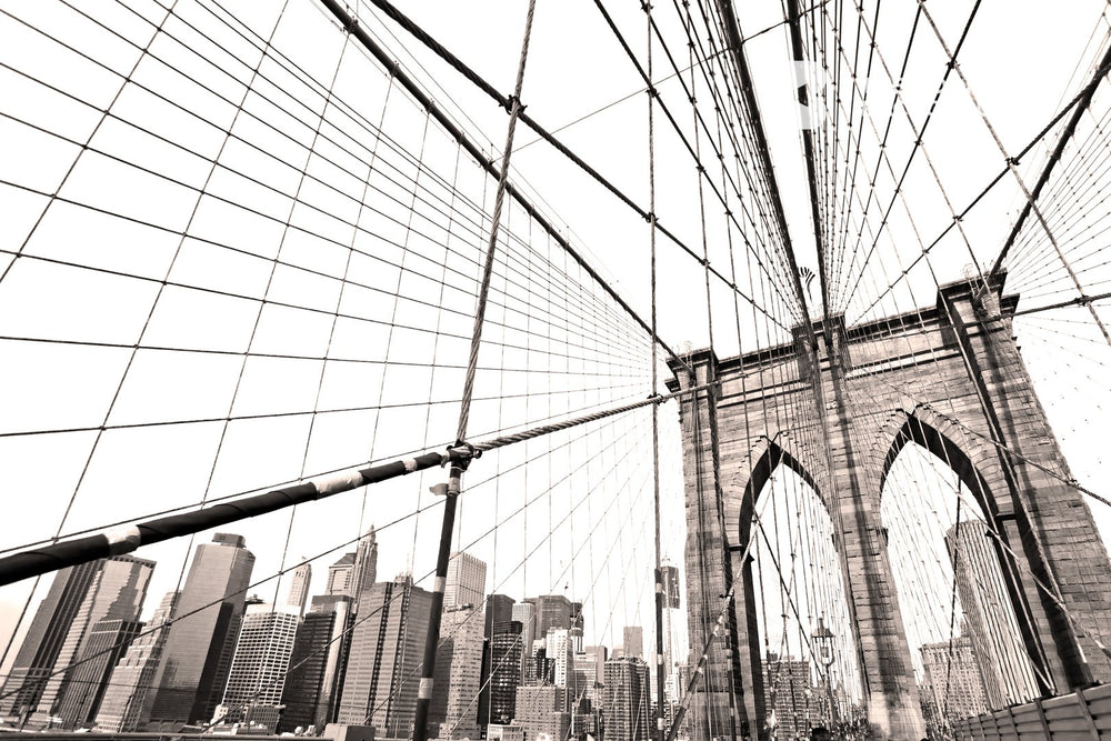 brooklyn bridge in black and white zoom backgrounds