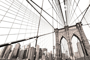 brooklyn bridge in black and white zoom backgrounds