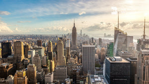 
            
                Load image into Gallery viewer, new york city cityscape on a sunny day zoom backgrounds
            
        