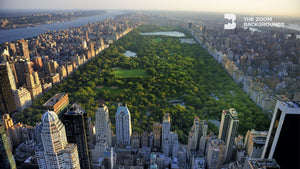 
            
                Load image into Gallery viewer, central park from above zoom backgrounds
            
        