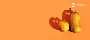 
            
                Load image into Gallery viewer, pumpkin with shadow on orange background zoom background
            
        