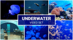 underwater zoom backgrounds video set  videos  